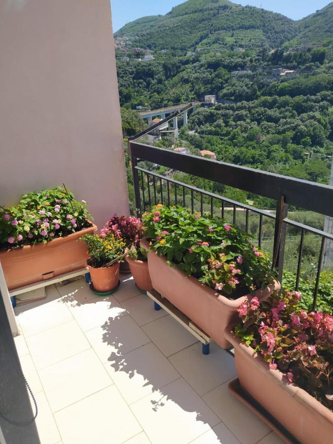 ויקו אקוונסה B&B Antonietta מראה חיצוני תמונה